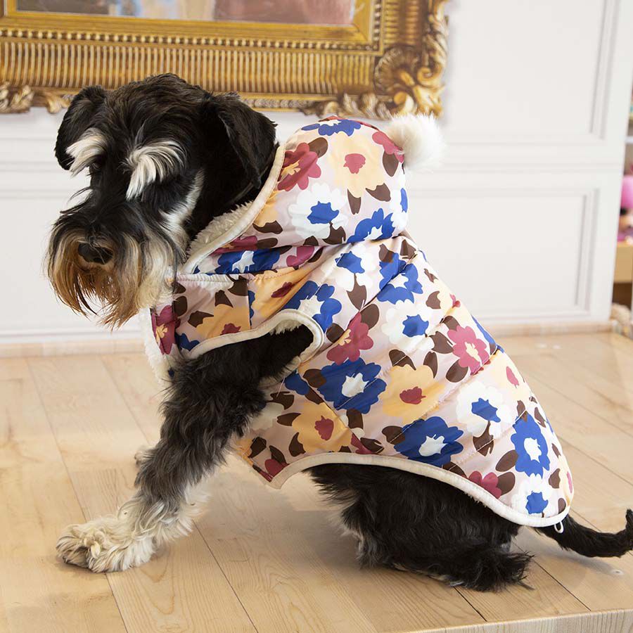 Outech Spring Casaco para c&atilde;es, , large Imagem n&uacute;mero 5